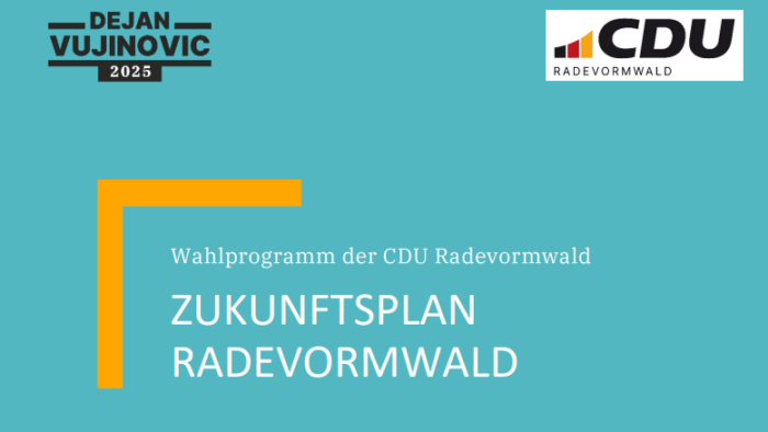 202506 Artikelbild Wahlprogramm